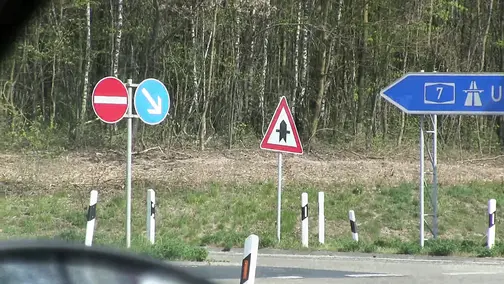 German MILF Gets Rough In Her Car