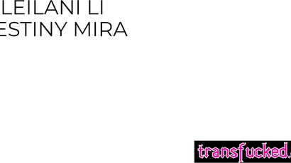 Babe Enjoyed Hard Sex Sex With Shemale