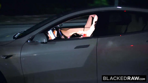 Blackedraw She Wanted A Cream Pie From A Bull And Got It