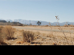 Inked MILF Shakes Fat Ass During Intense Banging