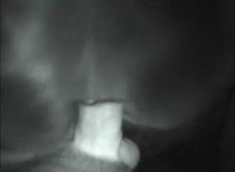 Cheating Wife With IT Guy In The Office