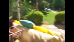 Gianna Michaels & Marsha Lord   Rocco's Nasty Tails 8