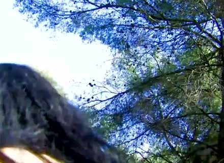 Charming Brunette Slides On Rod In Public