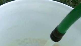 Hairy Pussy Petting Session Legs Open Wide