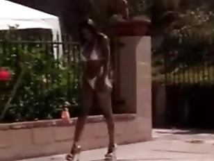 Caramel Is Not Solo If She Has Toys To Keep Her Pany